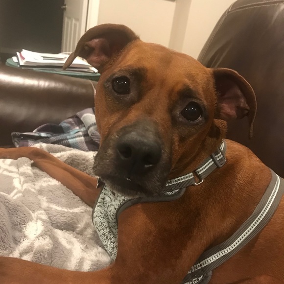 Meet your Posher, Brooke - Picture 1 of 1